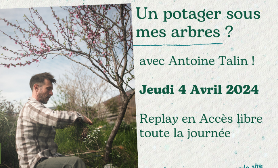Un potager sous mes arbres ? avec Antoine TALIN