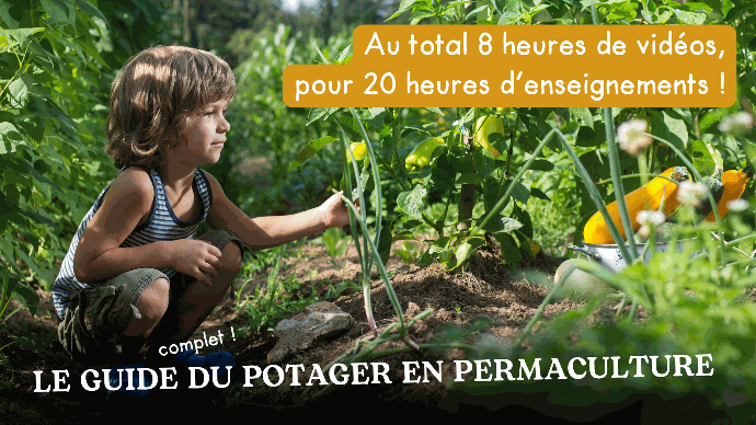 Le guide complet du potager en permaculture