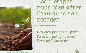 Webinaire - Les 4 étapes pour bien gérer l’eau dans son potager