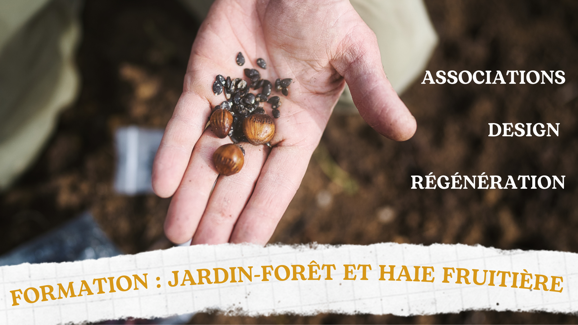 FORMATION : Jardin-forêt et Haie fruitière
