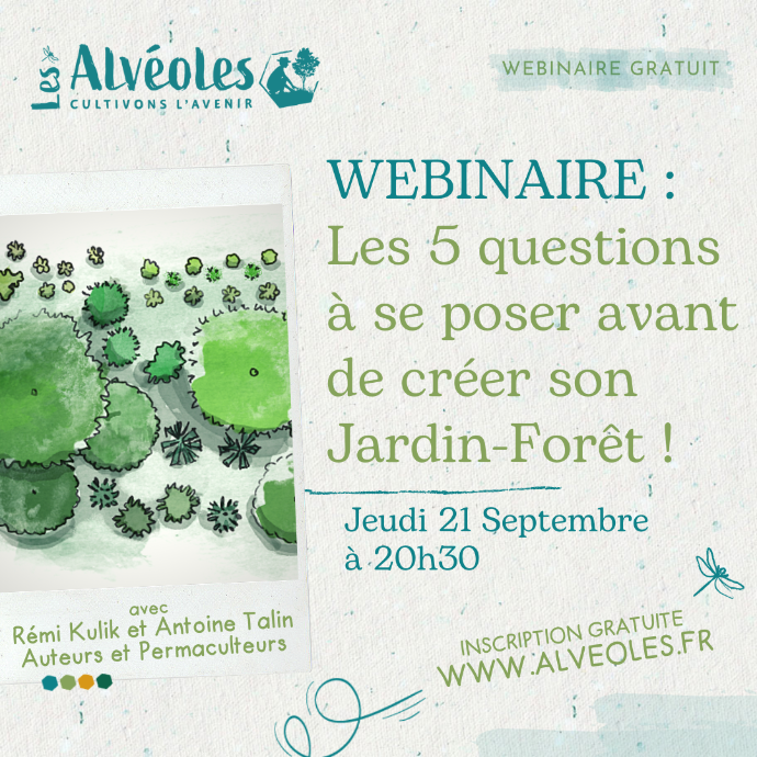 Webinaire &quot;Les 5 questions à se poser avant de créer son jardin-forêt&quot; avec Rémi Kulik et Antoine Talin