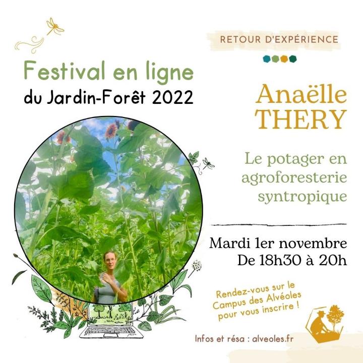Le potager en agroforesterie syntropique avec Anaëlle Thery Retour d'expérience du 1 novembre 2022