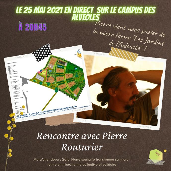 Webinaire - Soirée Design + avec Pierre Routurier